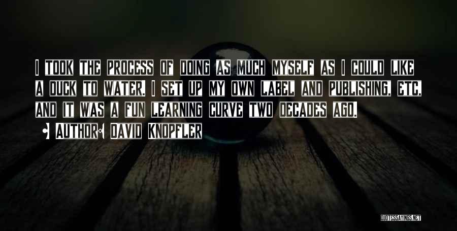 Fun While Learning Quotes By David Knopfler