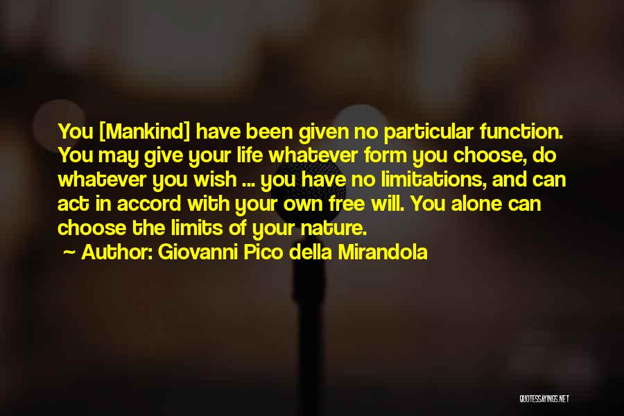 Function And Form Quotes By Giovanni Pico Della Mirandola