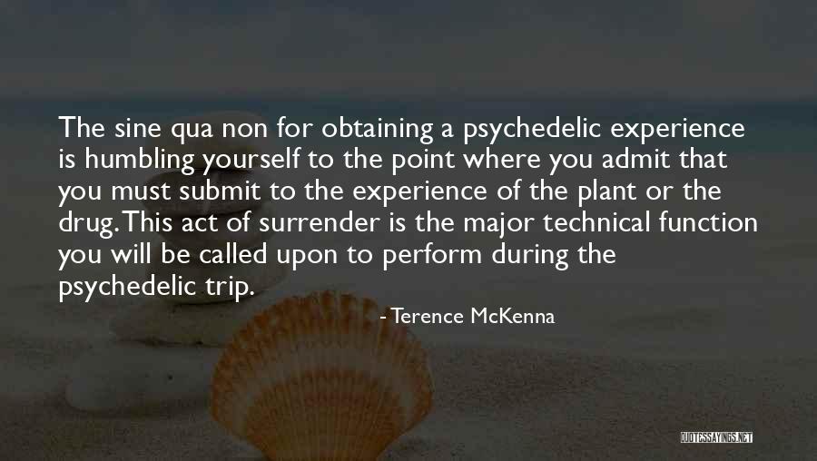 Function For Quotes By Terence McKenna Function For Quotes By Terence McKenna