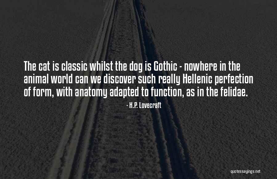 Function Form Quotes By H.P. Lovecraft Function Form Quotes By H.P. Lovecraft