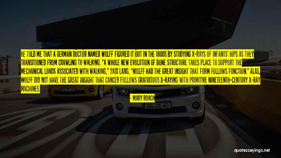 Function Form Quotes By Mary Roach Function Form Quotes By Mary Roach