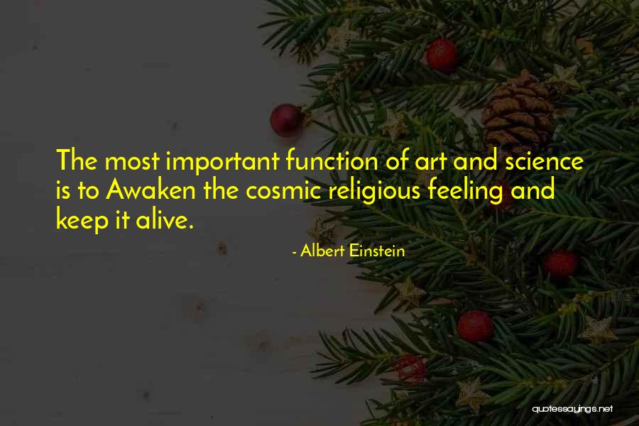 Function Of Art Quotes By Albert Einstein Function Of Art Quotes By Albert Einstein