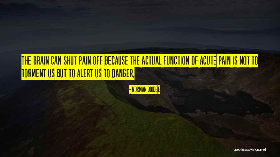 Function Of Pain Quotes By Norman Doidge Function Of Pain Quotes By Norman Doidge