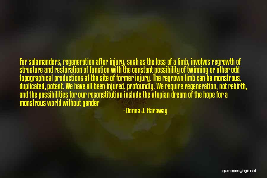 Function That Involves Quotes By Donna J. Haraway Function That Involves Quotes By Donna J. Haraway