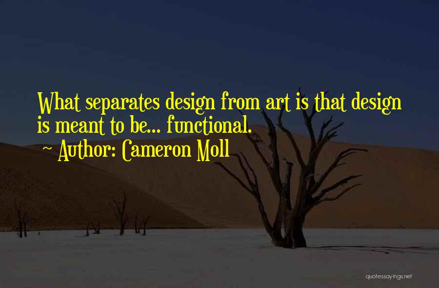 Functional Art Quotes By Cameron Moll