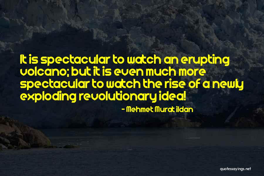 Functionalist Perspective On Family Quotes By Mehmet Murat Ildan Functionalist Perspective On Family Quotes By Mehmet Murat Ildan