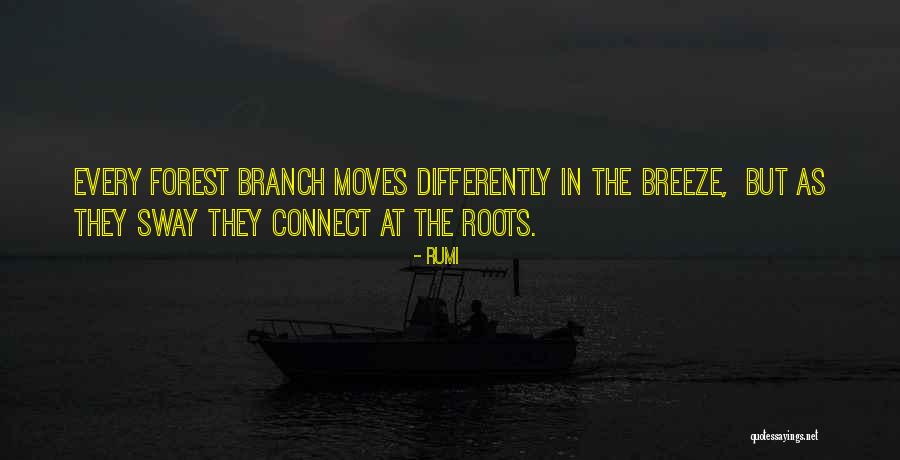 Functionally Illiterate Quotes By Rumi Functionally Illiterate Quotes By Rumi