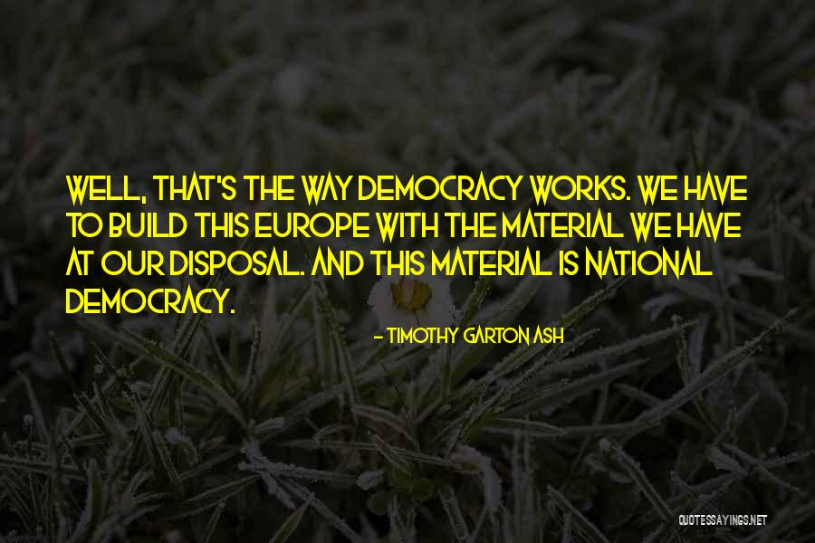 Functioning As A Team Quotes By Timothy Garton Ash Functioning As A Team Quotes By Timothy Garton Ash