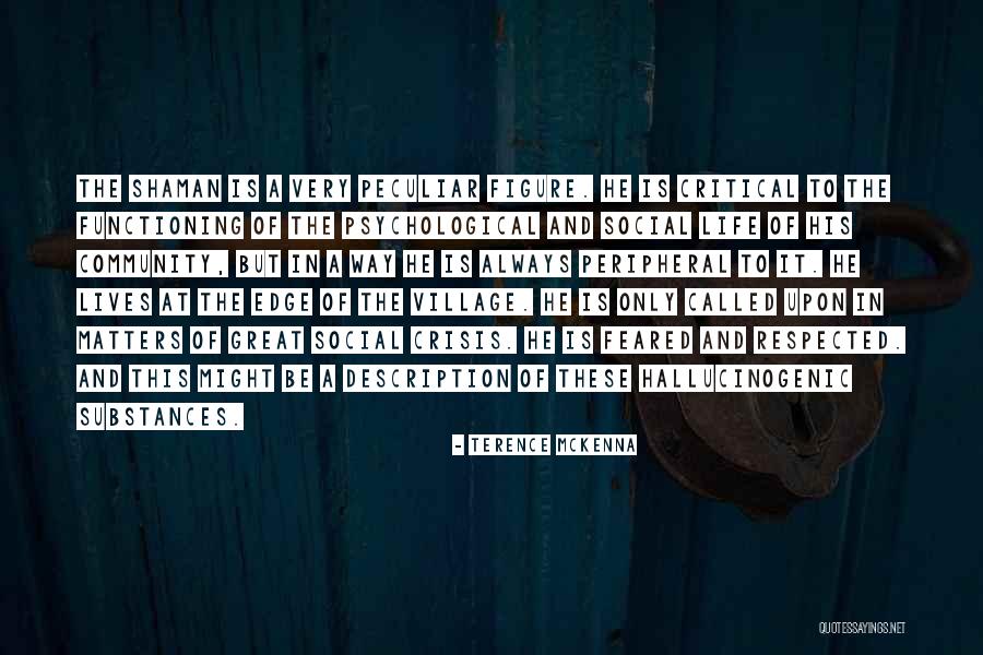 Functioning Quotes By Terence McKenna Functioning Quotes By Terence McKenna