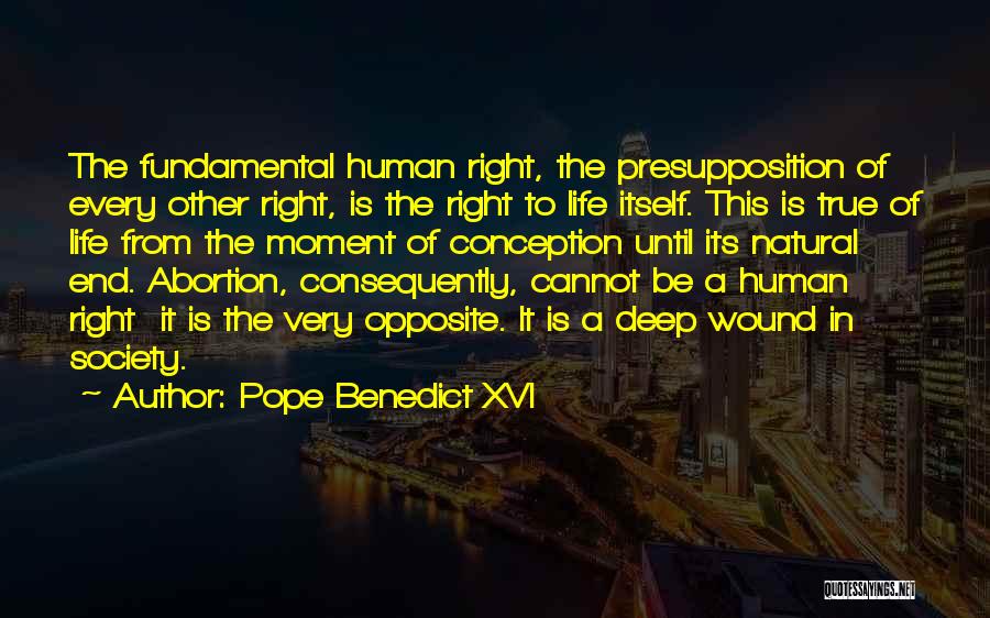 Fundamental Human Rights Quotes By Pope Benedict XVI