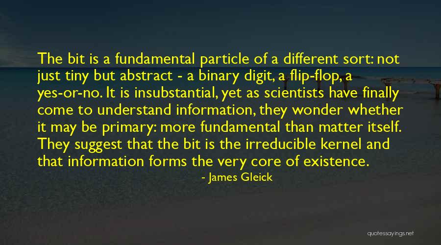 Fundamental Particle Quotes By James Gleick Fundamental Particle Quotes By James Gleick