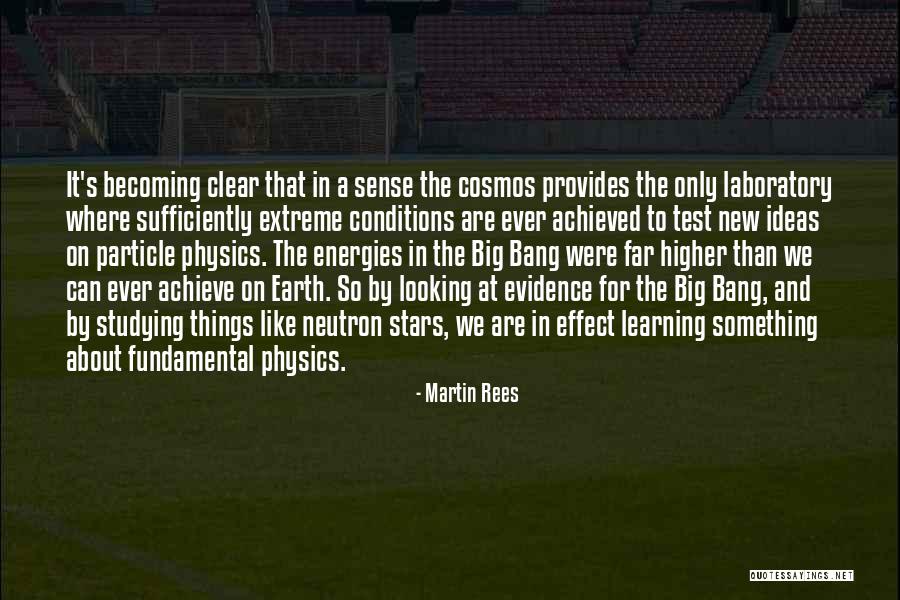 Fundamental Particle Quotes By Martin Rees Fundamental Particle Quotes By Martin Rees