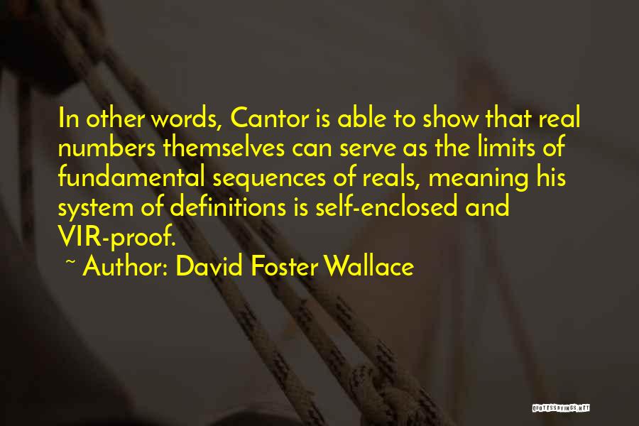 Fundamental Quotes By David Foster Wallace