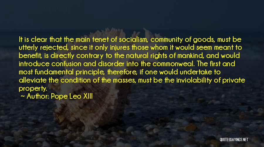 Fundamental Rights Quotes By Pope Leo XIII