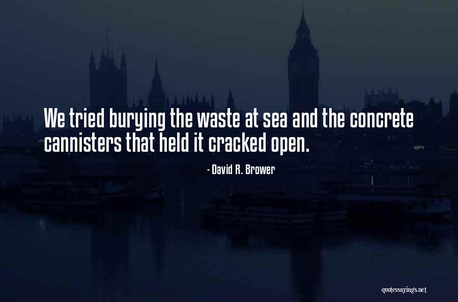 Fundamentalism Artifacts Quotes By David R. Brower Fundamentalism Artifacts Quotes By David R. Brower