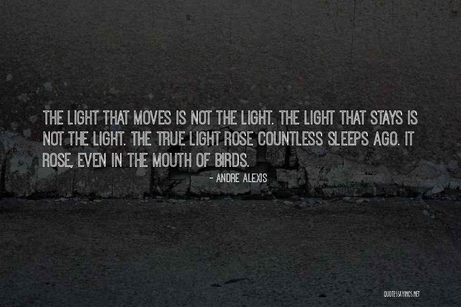 Fundamentalmente Definicion Quotes By Andre Alexis Fundamentalmente Definicion Quotes By Andre Alexis