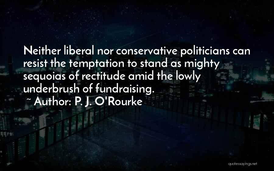 Fundraising Quotes By P. J. O'Rourke