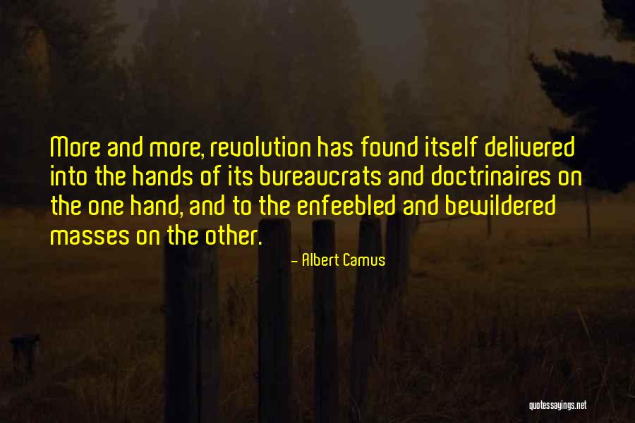 Funeral Lose Quotes By Albert Camus Funeral Lose Quotes By Albert Camus