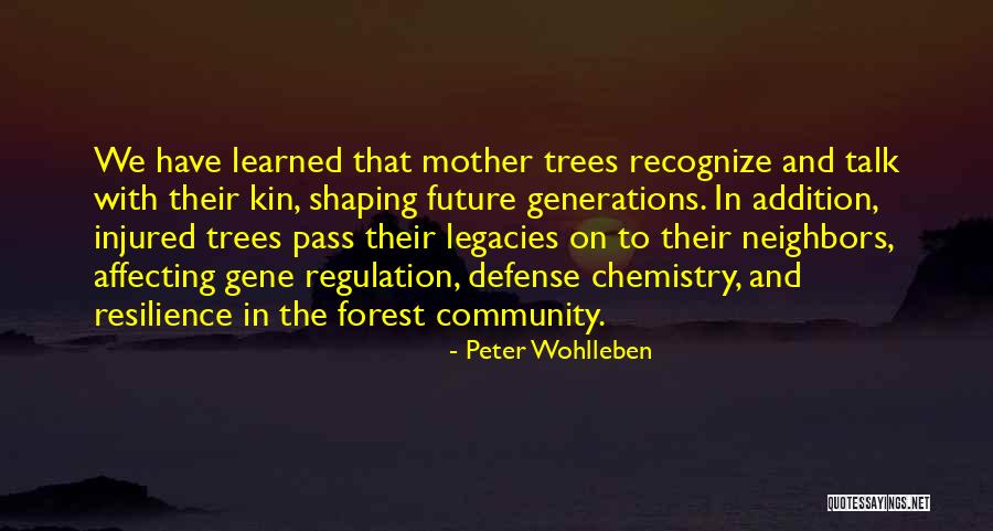 Funeral Programs Quotes By Peter Wohlleben Funeral Programs Quotes By Peter Wohlleben