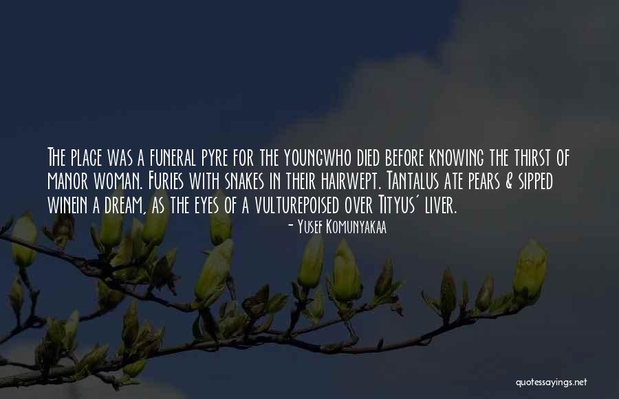 Funeral Pyre Quotes By Yusef Komunyakaa Funeral Pyre Quotes By Yusef Komunyakaa