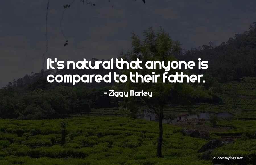 Funeral Urn Quotes By Ziggy Marley Funeral Urn Quotes By Ziggy Marley
