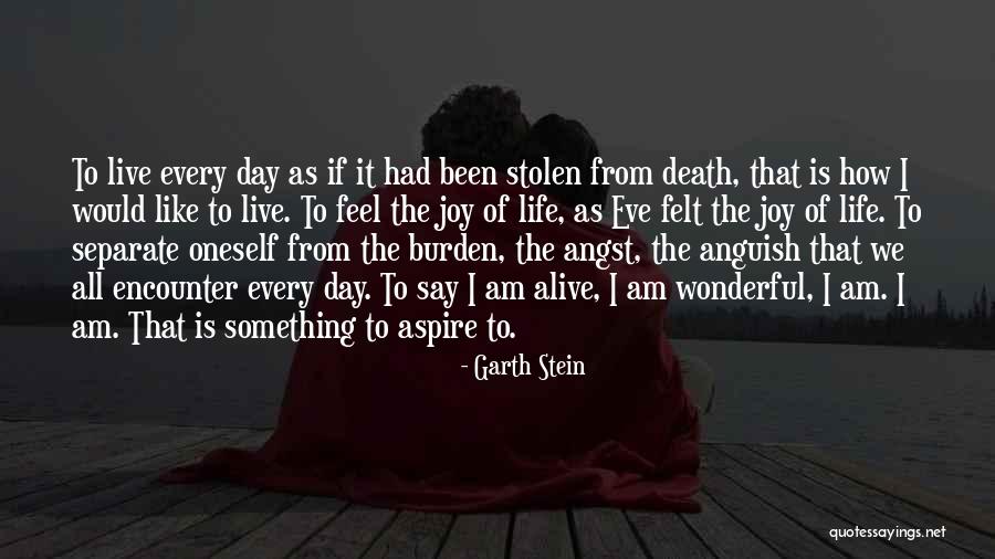 Funeraria Del Angel Quotes By Garth Stein Funeraria Del Angel Quotes By Garth Stein