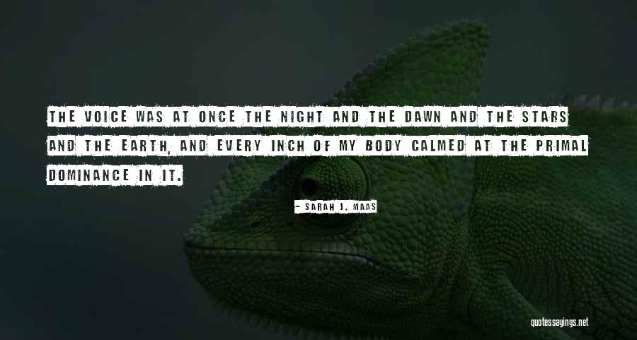 Funeraria Del Angel Quotes By Sarah J. Maas Funeraria Del Angel Quotes By Sarah J. Maas