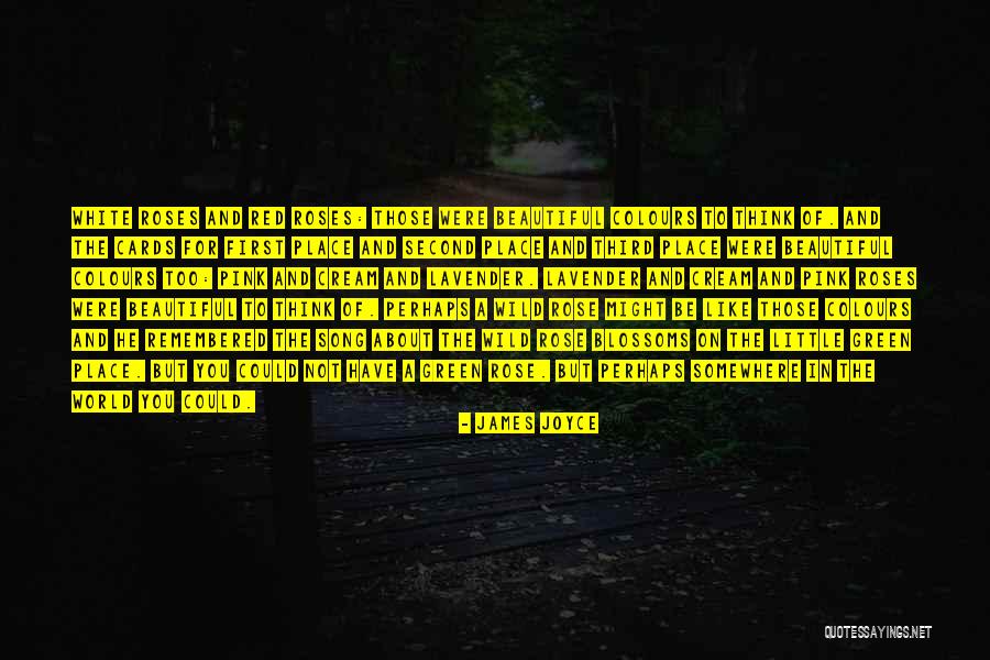 Funerary Burners Quotes By James Joyce Funerary Burners Quotes By James Joyce