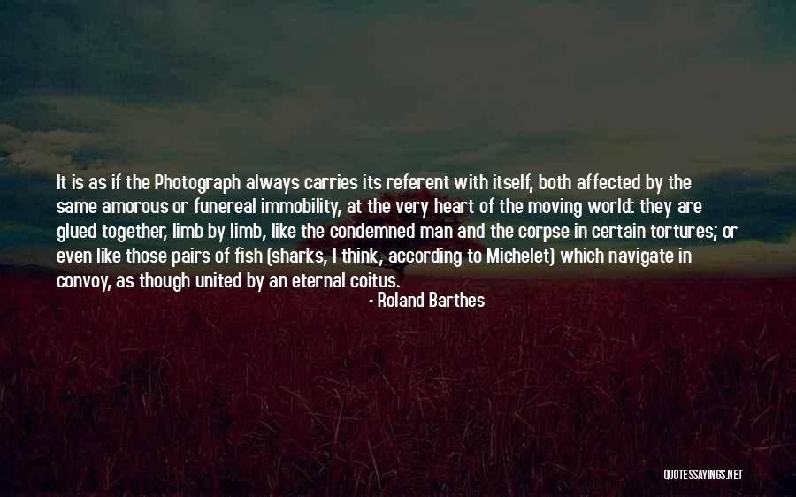 Funereal Quotes By Roland Barthes Funereal Quotes By Roland Barthes