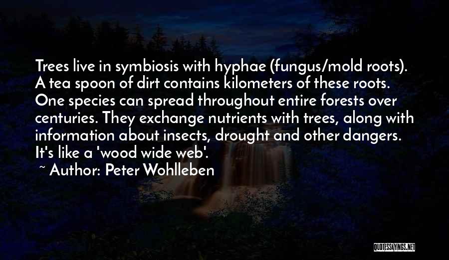 Fungus Quotes By Peter Wohlleben