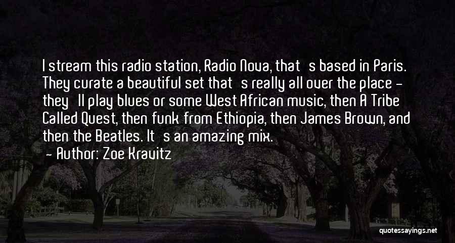 Funk Music Quotes By Zoe Kravitz