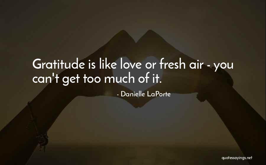 Funke Adejumo Quotes By Danielle LaPorte