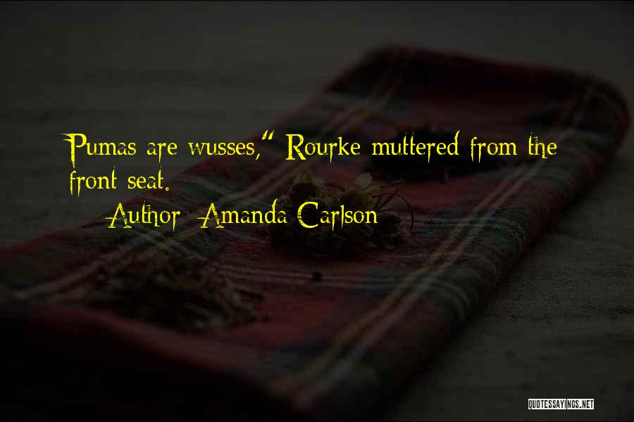 Funken Friday Quotes By Amanda Carlson