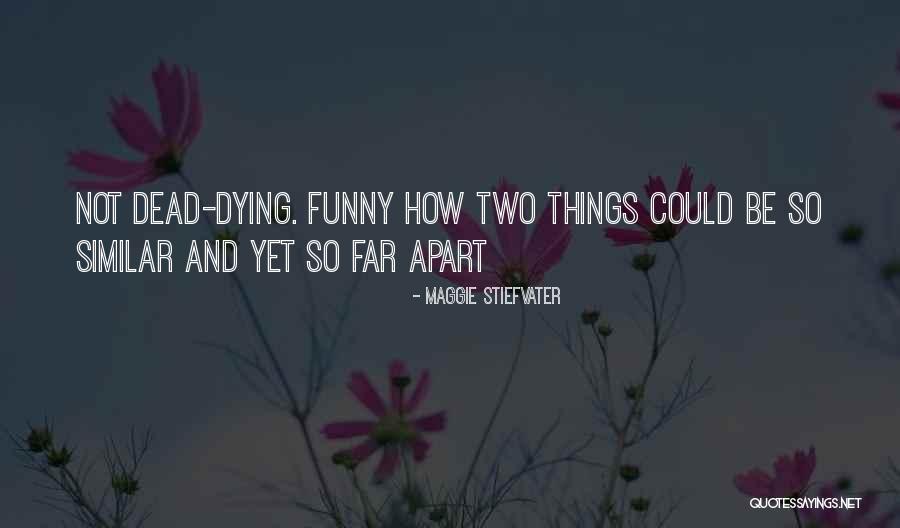 Funking Perfect Quotes By Maggie Stiefvater Funking Perfect Quotes By Maggie Stiefvater