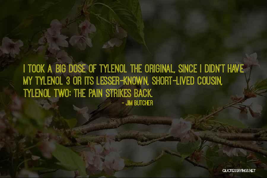 Funky Dineva Quotes By Jim Butcher Funky Dineva Quotes By Jim Butcher