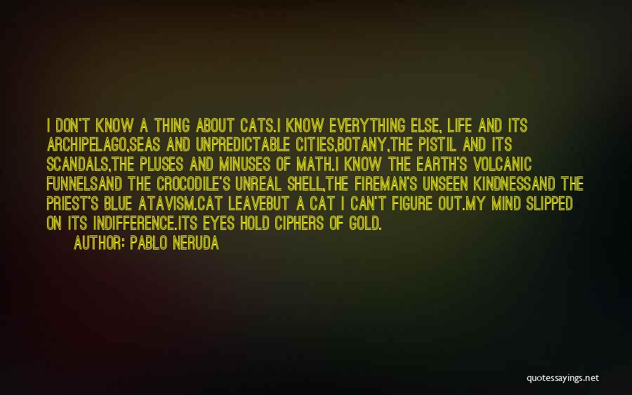 Funnels Quotes By Pablo Neruda
