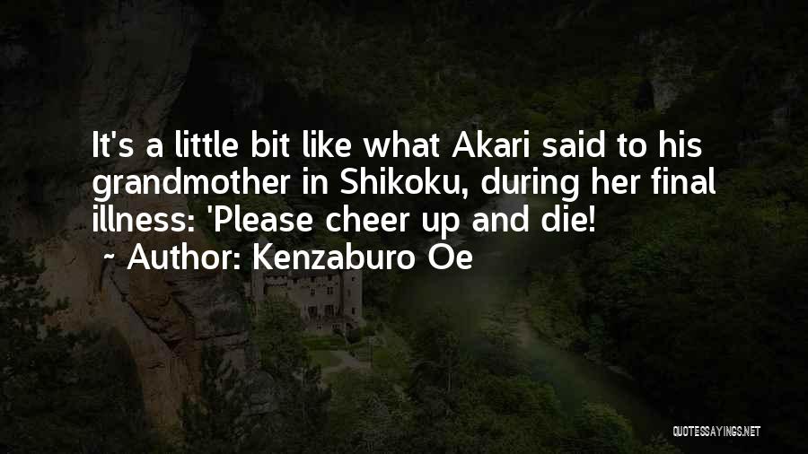 Funniest Programmer Quotes By Kenzaburo Oe