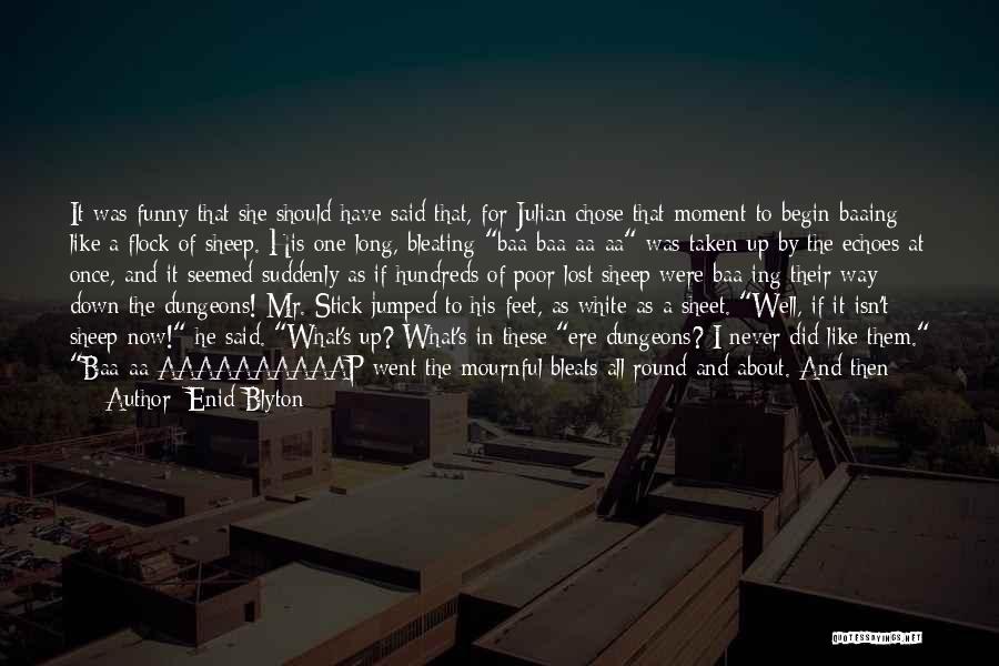 Funny Aa Quotes By Enid Blyton Funny Aa Quotes By Enid Blyton
