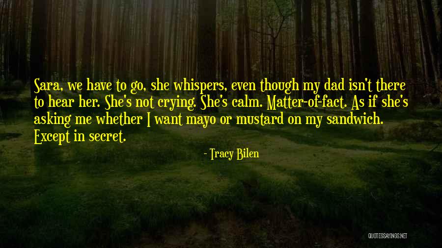 Funny American Government Quotes By Tracy Bilen Funny American Government Quotes By Tracy Bilen
