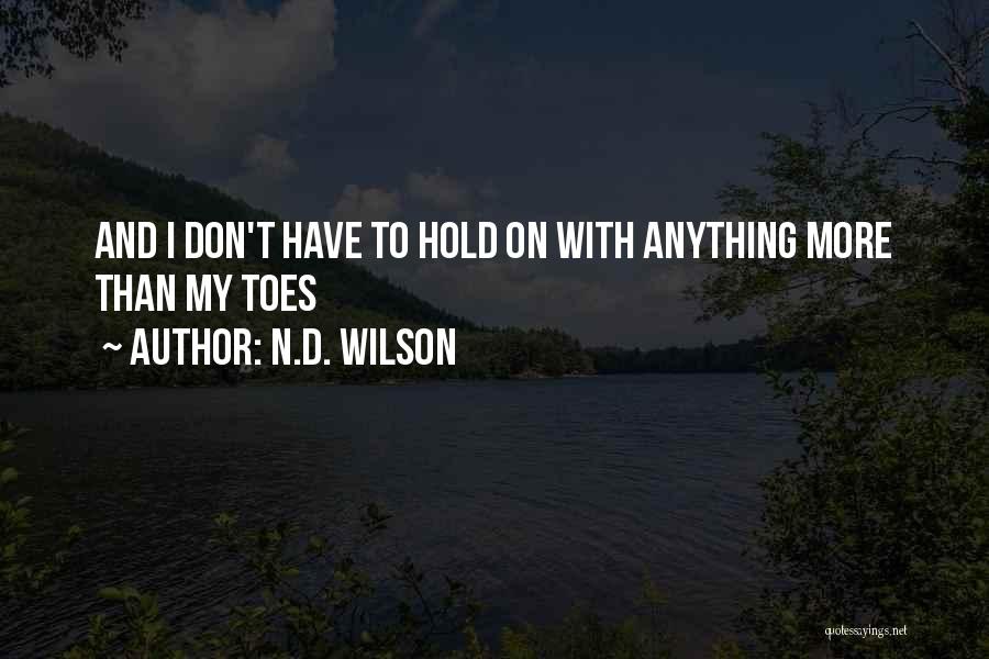 Funny And Inspirational Quotes By N.D. Wilson