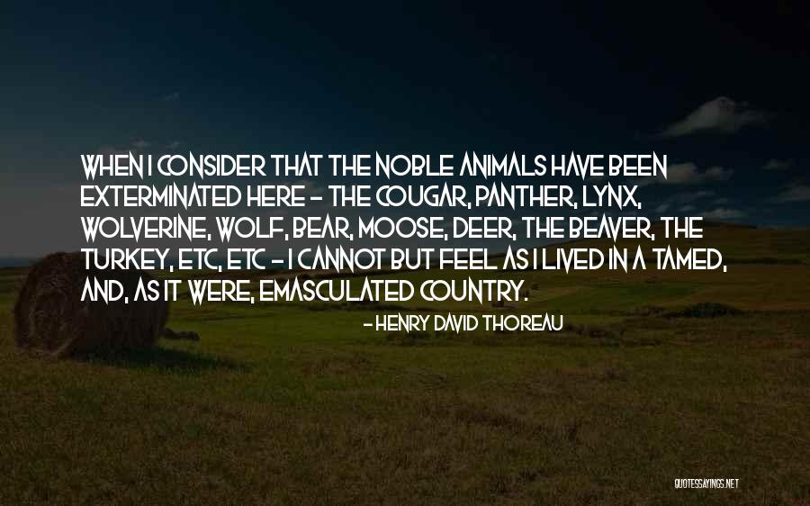 Funny Animal Quotes By Henry David Thoreau Funny Animal Quotes By Henry David Thoreau