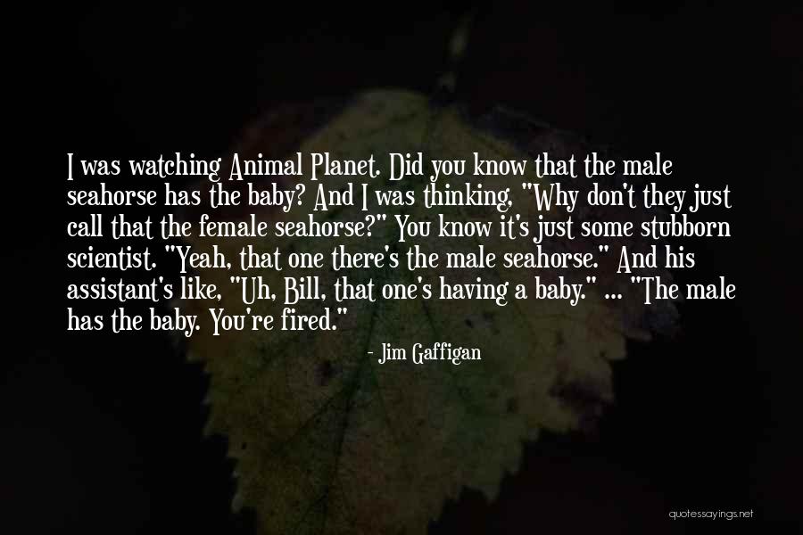 Funny Animal Quotes By Jim Gaffigan Funny Animal Quotes By Jim Gaffigan
