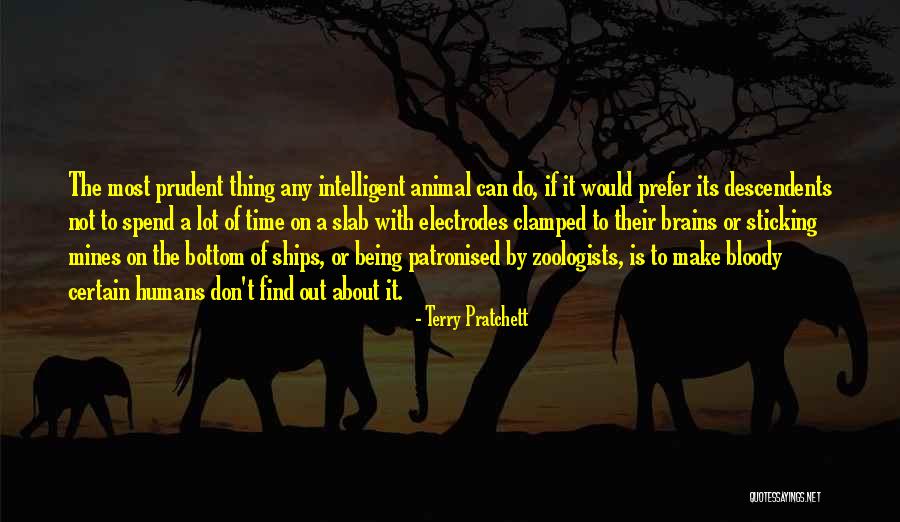 Funny Animal Quotes By Terry Pratchett Funny Animal Quotes By Terry Pratchett