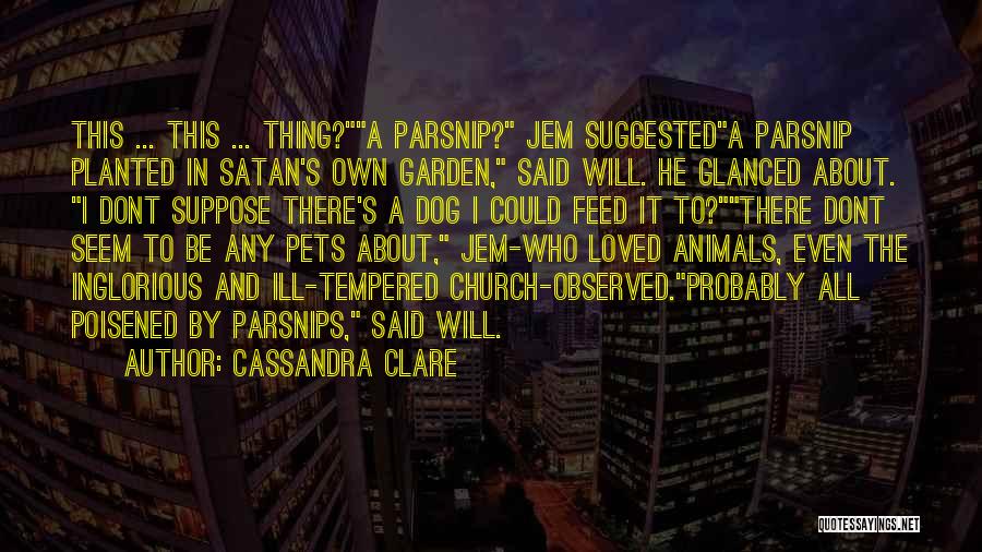 Funny Animals And Quotes By Cassandra Clare