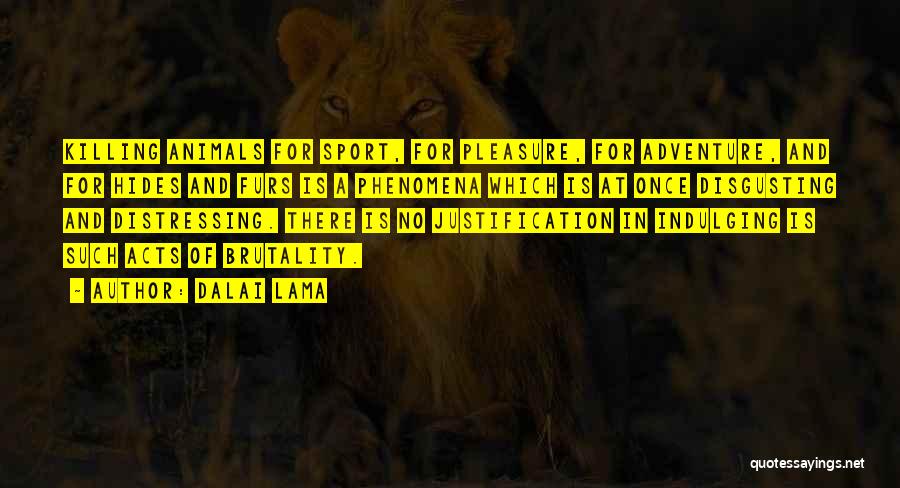 Funny Animals And Quotes By Dalai Lama