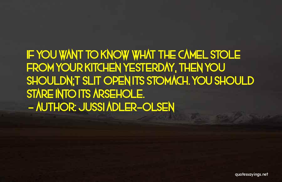Funny Arsehole Quotes By Jussi Adler-Olsen