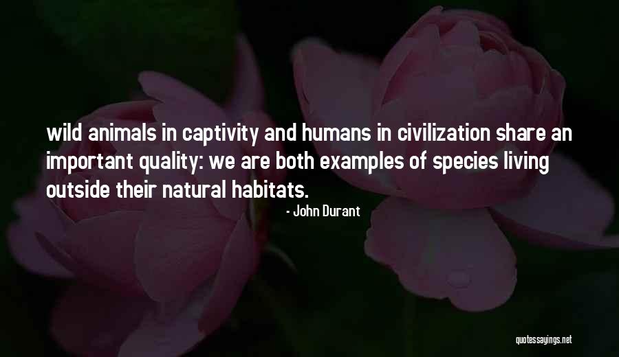 Funny Babaji Quotes By John Durant Funny Babaji Quotes By John Durant