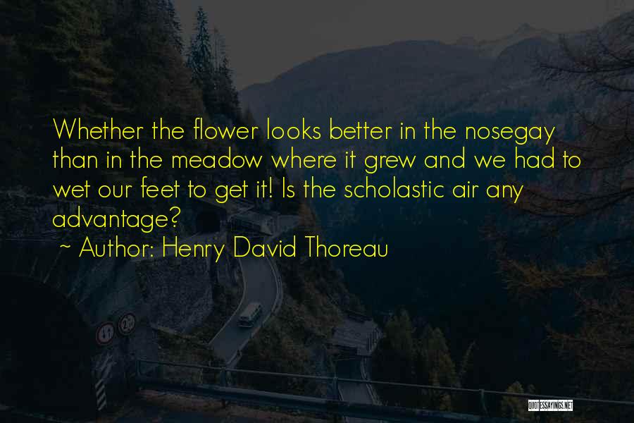 Funny Baby Kicking Quotes By Henry David Thoreau
