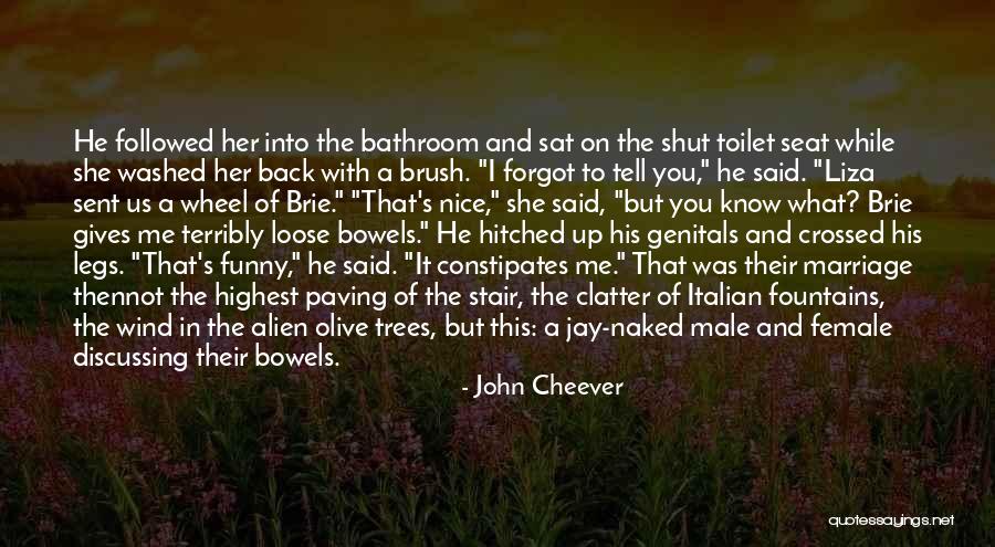 Funny Back Up Quotes By John Cheever