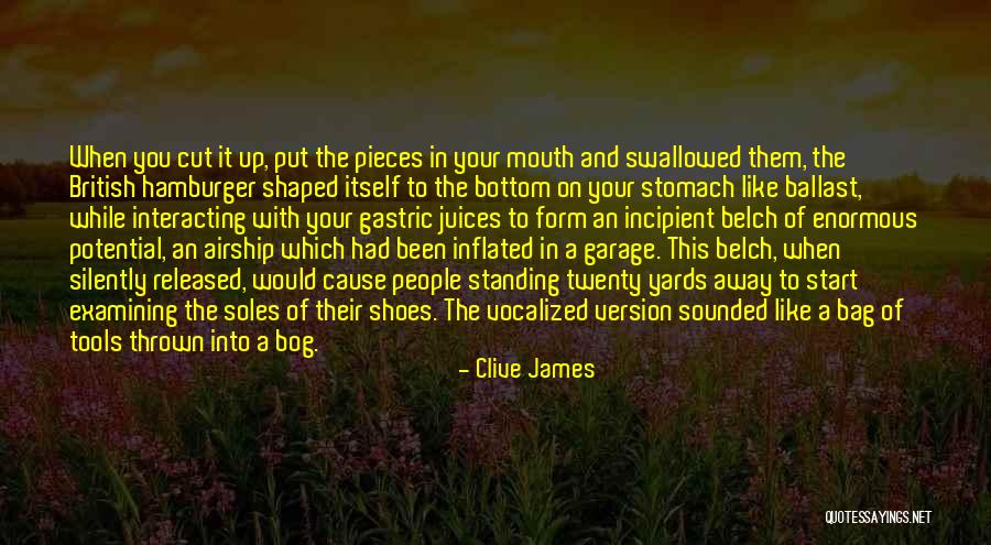 Funny Bag Quotes By Clive James